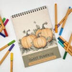 13-Sweet Pumpkin