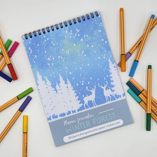 17-Winter Forest