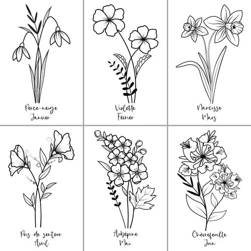 Fleurs de Naissance