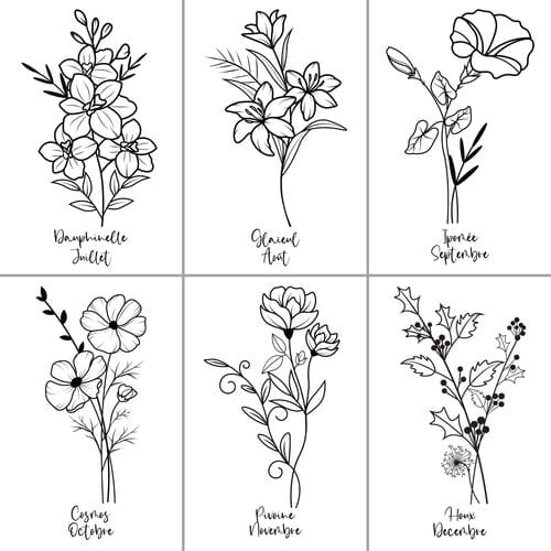 Fleurs de Naissance