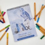 7-Magical Owl