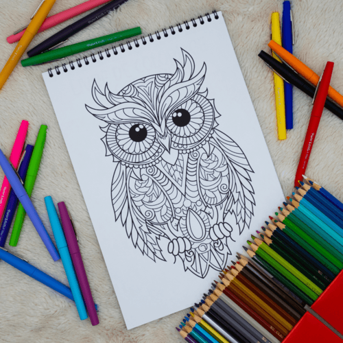 Chouettes Mandalas