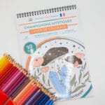 43-Champignons Mystiques